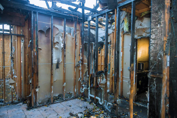 Professional Fire Damage Removal technician working in Somerset, TX
